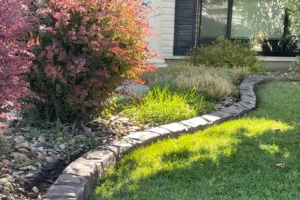 decorative stone edging in front yard