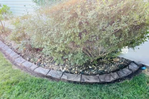 decorative stone edging in yard front of house